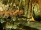 Cuevas de Nerja