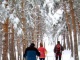 Winter. Winter sports in the Sierra Nevada