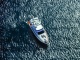 VIP  YACHT  CARTER