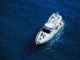VIP  YACHT  CARTER