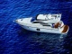 VIP  YACHT  CARTER