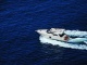 VIP  YACHT  CARTER
