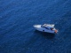 VIP  YACHT  CARTER