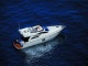 VIP  YACHT  CARTER