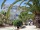 GS.1. Apartment  DELFIN, pl.3.-1, with 1 bedroom, 2 to 4 person.