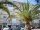 GS.1. Apartment  DELFIN, pl.3.-1, with 1 bedroom, 2 to 4 person.