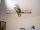 035. Apartment PURI "B" with 1 bedroom, 1 to 3 pers.